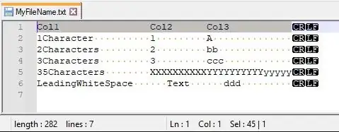 The output file when viewed in Notepad++