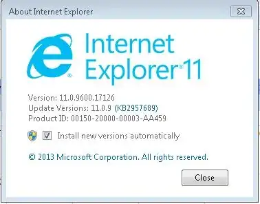 IE Version