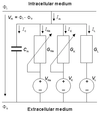 Circuit Diagram