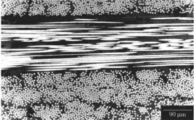 Cross-section of fiberglass laminate