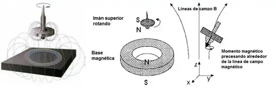 Magnetic field of Levitron