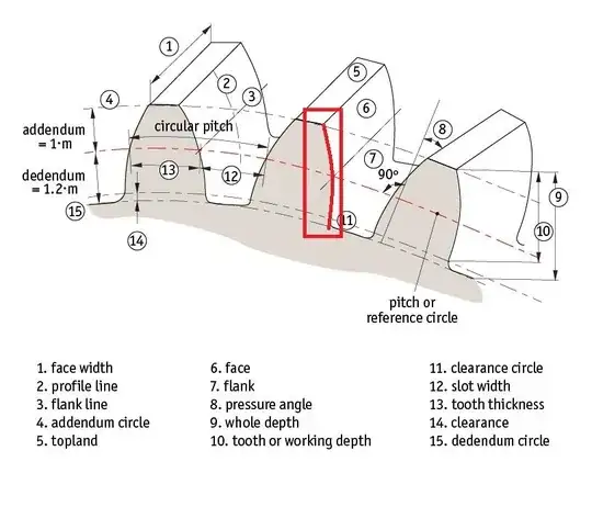 Curvature line of face and flank of a spur gear