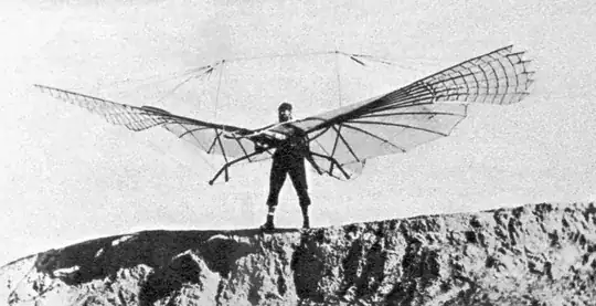 Small ornithopter pre-flight