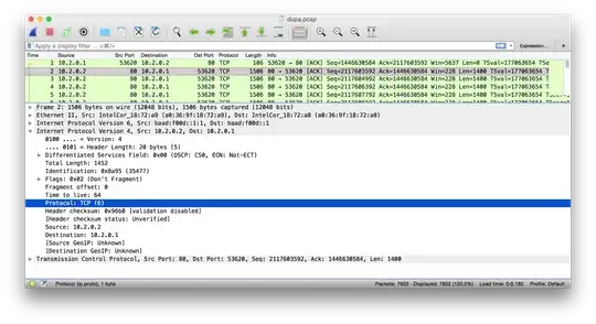DS-Lite packet in Wireshark