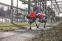 Outdoor inspection (power grid)