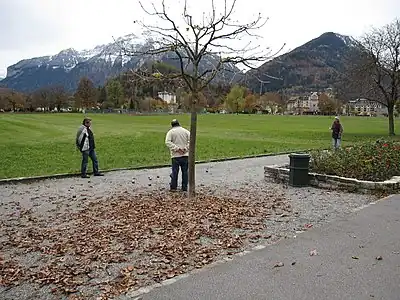 These gentlemen are playing a game of boules