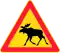 Moose hazard