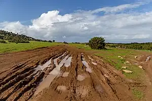 surface=mud - surface=unpaved may mean this kind of surface