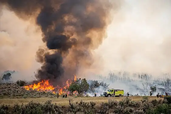 Brandmandskab reagerer på Pine Gulch Fire