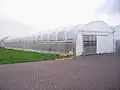 Plastic greenhouse [2]