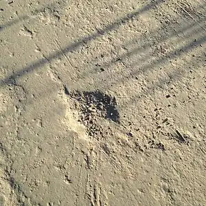 Pothole in surface=compacted road. Like with surface=asphalt presence of potholes is not changing surface type.