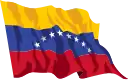 Flag of The Bolivarian Republic of Venezuela