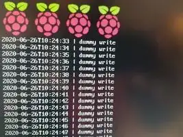 Four raspberries on top of my console