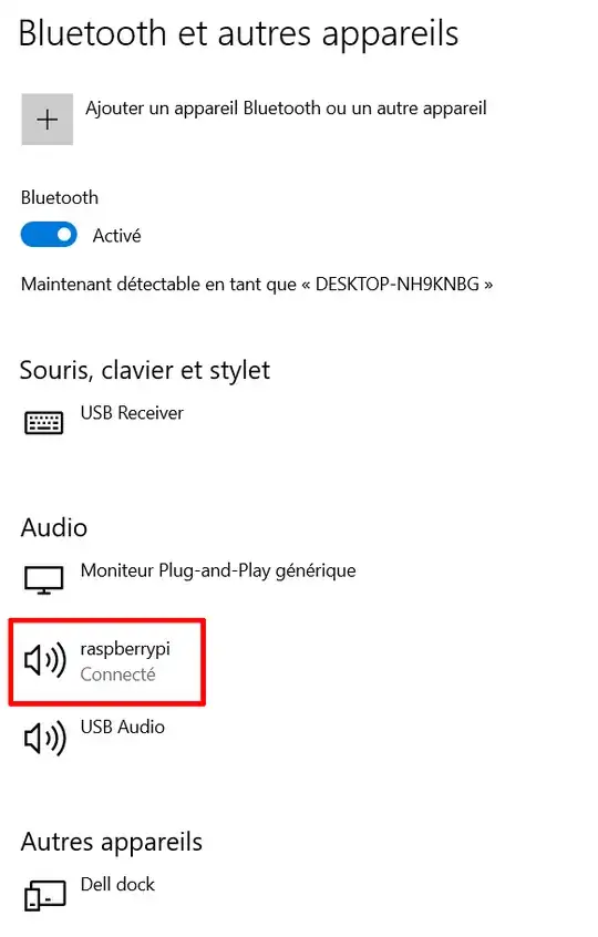 RPi detected as audio device