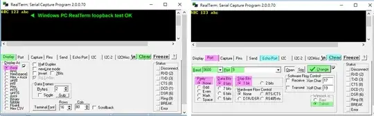 real term loopback test