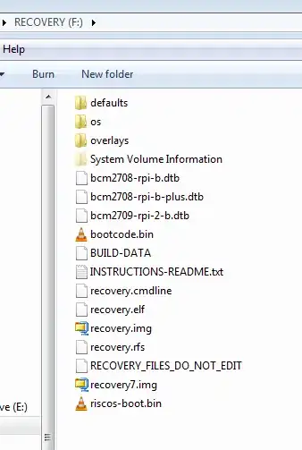 screenshot of pi dir