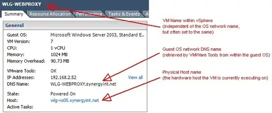 Example of host and guest names in a VM summary tab