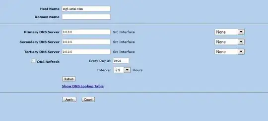 SSG DNS Configuration Screenshot