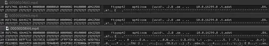 3 identical mp4 file headers