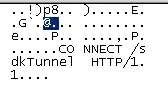 CONNECT /sdkTunnel HTTP/1.1