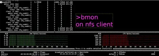 This image shows the nfs client bmon