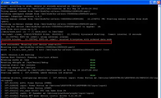 Screenshot of boot process