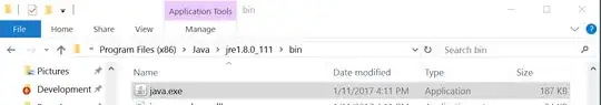 The java.exe