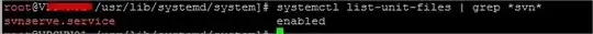 Screenshot for systemctl list-unit-files | grep *svn*
