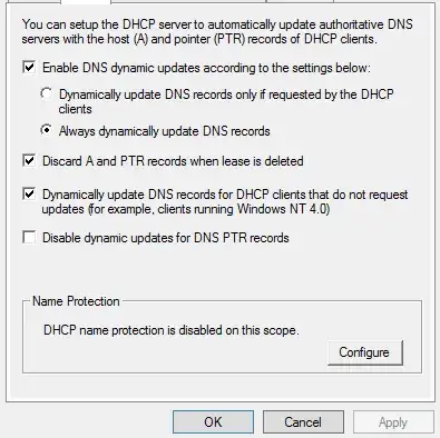 DHCP DNS Settings