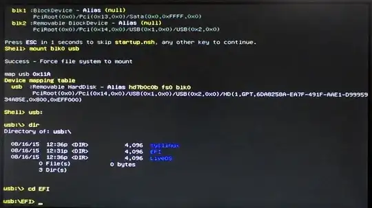 UEFI shell boot: Follow the white rabbit #2