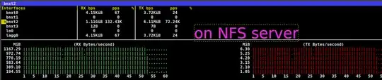 This image shows the nfs server bmon