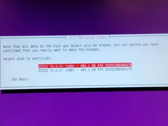 Ubuntu install pick hard drive
