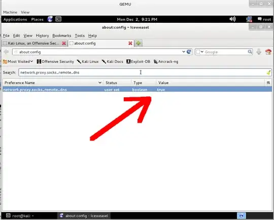 kali in qemu / firefox dns proxy