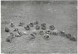Remains of the Štip massacre victims