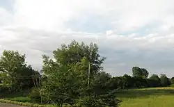 Novoselitsky Reserve, Novoselitsky District