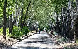 A pathway at the park in 2020