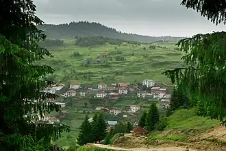 The village of Buynovo