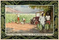 Tobacco Plantation in S. Rhodesia. Illustration for the Empire Marketing Board (1928)