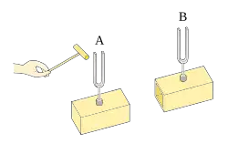 Two tuning forks being sounded by a hand (on the left).