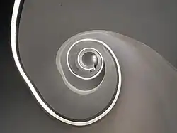 Spiral Staircase