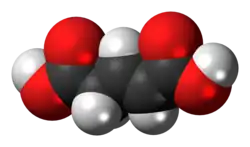 Space-filling model of the trans isomer