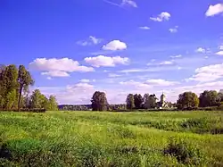 Landscape in Pushkinogorsky District