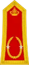 Général de brigade (Royal Moroccan Army)[37]