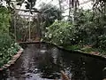 Berkenhof Tropical Zoo [nl]