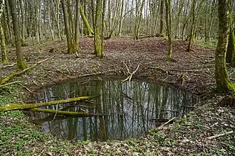 Funnel-shaped hole, remnant of shaft no. 5