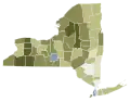 New York 2021 Proposal 3 results by county