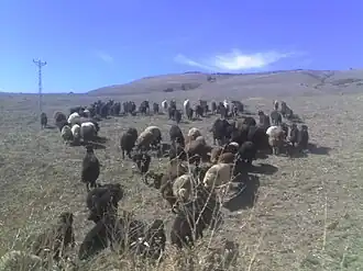 Bulanık countryside near Çataklı
