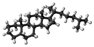 Ball-and-stick model of the coprostane molecule