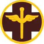 Shoulder Sleeve Insignia, 818th Medical Brigade