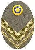 Hat badge (Mössmärke m/1940) for a major in the army.